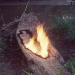 En fempunkts guide til kunsten til Ana Mendieta