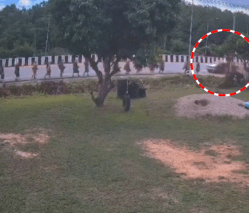 comp-4511783065977_1783076862.gif