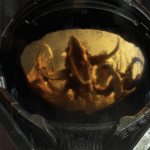 STC2026_GalleryIMG_0008_PT6120_rgba.webp.png