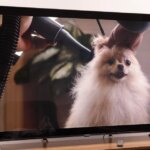 268807_LG_MRGB95B_RGB_LED_TV_review_JHIGGINS_3.jpg