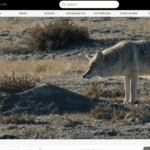 3263311-0-04512500-1792793542-Explore-live-cams.png