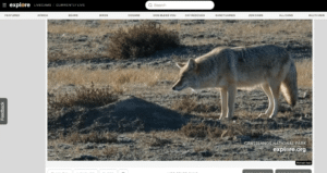 3263311-0-04512500-1792793542-Explore-live-cams.png