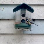 IMG_5464.jpeg