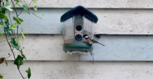 IMG_5464.jpeg